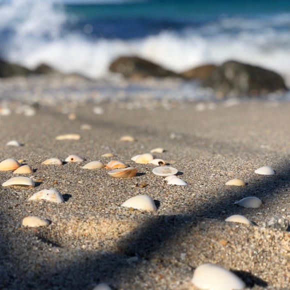 Meet your Posher, Kerry - Picture 7 of 8